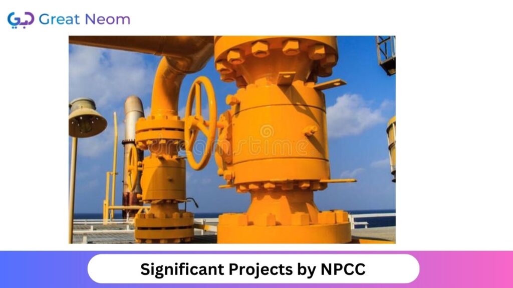 Significant Projects by National Petroleum Construction Company